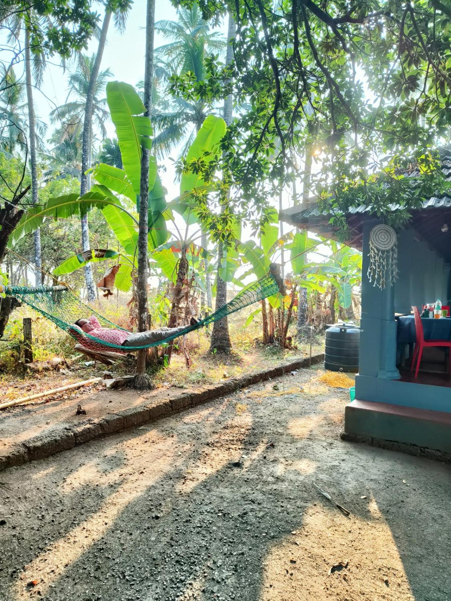 Perch Next Door Bed & Breakfast Kannur Dış mekan fotoğraf